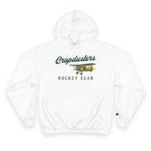 Load image into Gallery viewer, Champion Brand Fleece Hoodie