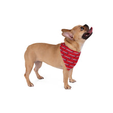 Load image into Gallery viewer, Lincoln Liberty Pet Bandana