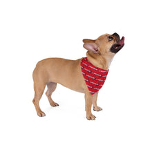 Load image into Gallery viewer, Lincoln Liberty Pet Bandana