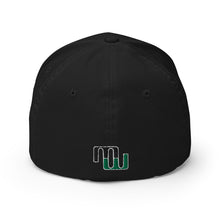 Load image into Gallery viewer, Flexfit Embroidered Structured Fitted Cap