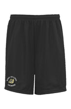 Load image into Gallery viewer, Team Logo Embroidered Mesh Shorts