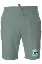 Load image into Gallery viewer, Team Logo Pigment Dyed Fleece Shorts