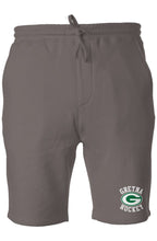 Load image into Gallery viewer, Team Logo Pigment Dyed Fleece Shorts